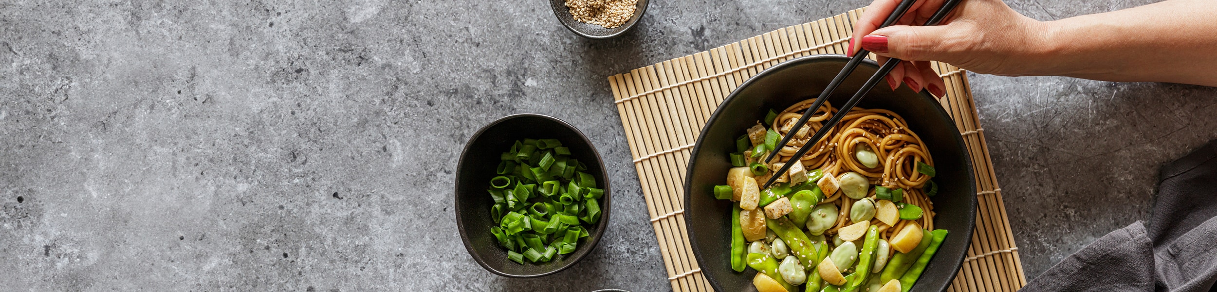 VE_Rezepte_Generische_Banner_Japanisch_Desktop