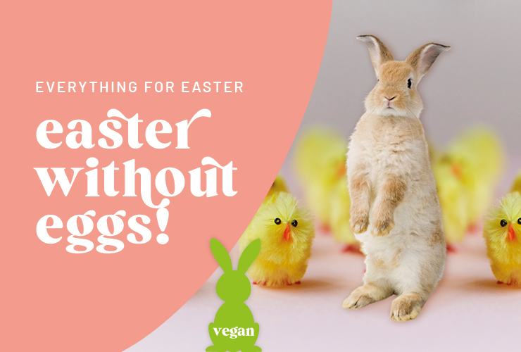 843251978-kw11_ve_ostern_keyvisual_kategoriebanner_mobil_en