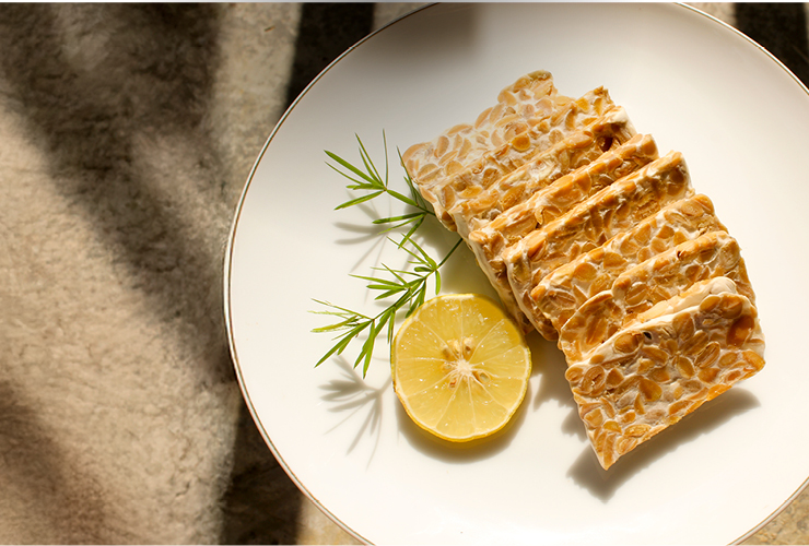 ve_kategorien_tempeh_mobil